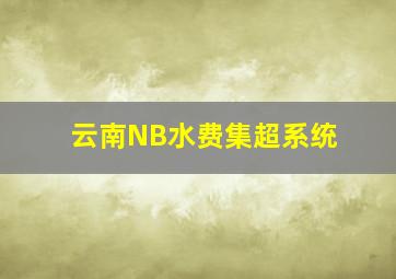 云南NB水费集超系统