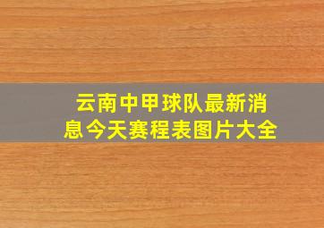 云南中甲球队最新消息今天赛程表图片大全