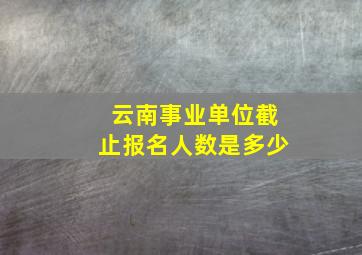 云南事业单位截止报名人数是多少