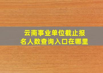 云南事业单位截止报名人数查询入口在哪里