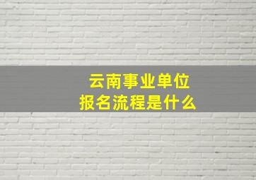 云南事业单位报名流程是什么