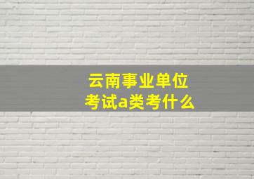 云南事业单位考试a类考什么