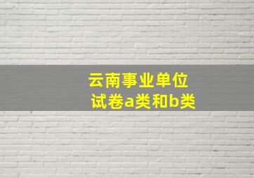 云南事业单位试卷a类和b类