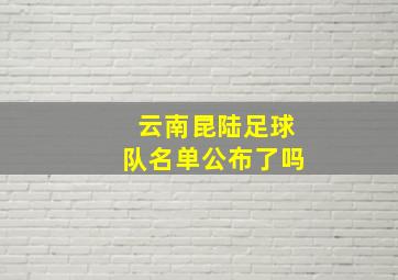 云南昆陆足球队名单公布了吗