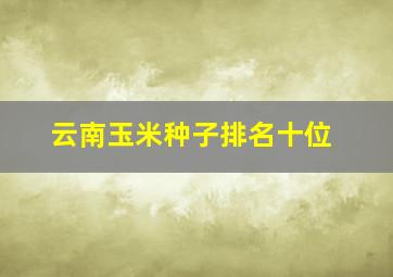 云南玉米种子排名十位