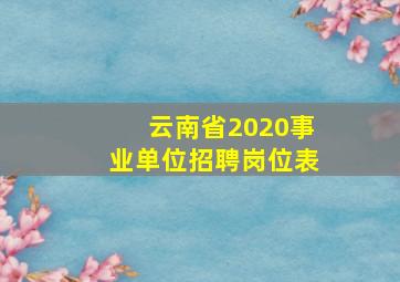 云南省2020事业单位招聘岗位表