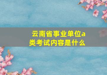 云南省事业单位a类考试内容是什么