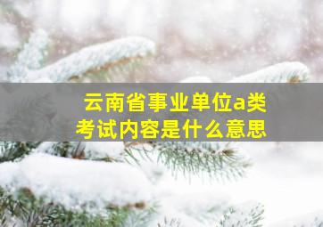 云南省事业单位a类考试内容是什么意思