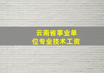 云南省事业单位专业技术工资