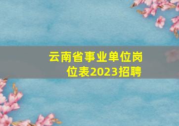 云南省事业单位岗位表2023招聘