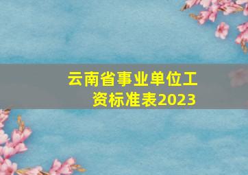 云南省事业单位工资标准表2023