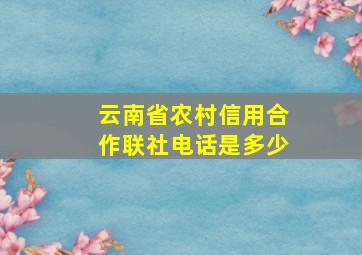 云南省农村信用合作联社电话是多少