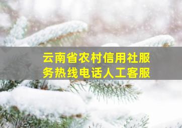 云南省农村信用社服务热线电话人工客服