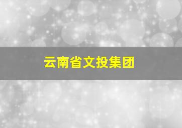 云南省文投集团