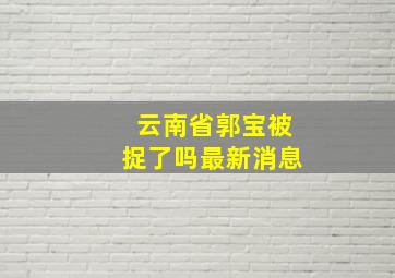 云南省郭宝被捉了吗最新消息