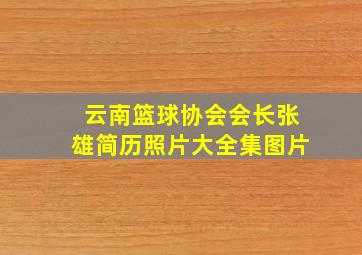 云南篮球协会会长张雄简历照片大全集图片