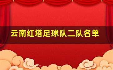 云南红塔足球队二队名单