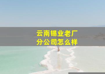 云南锡业老厂分公司怎么样