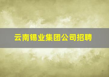 云南锡业集团公司招聘