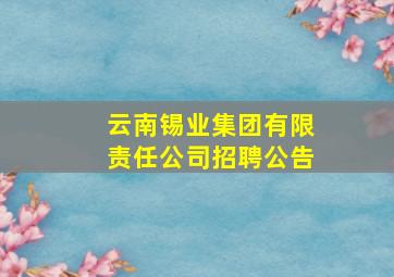 云南锡业集团有限责任公司招聘公告