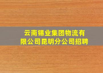 云南锡业集团物流有限公司昆明分公司招聘