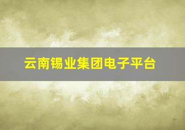 云南锡业集团电子平台