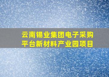 云南锡业集团电子采购平台新材料产业园项目