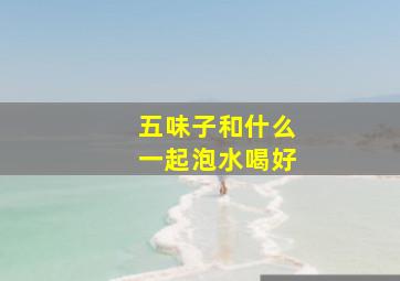 五味子和什么一起泡水喝好