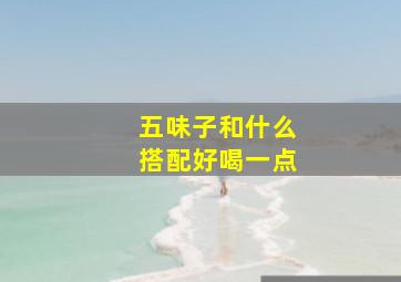 五味子和什么搭配好喝一点