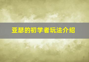 亚瑟的初学者玩法介绍