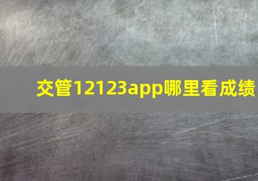 交管12123app哪里看成绩