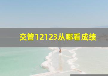 交管12123从哪看成绩