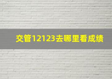 交管12123去哪里看成绩