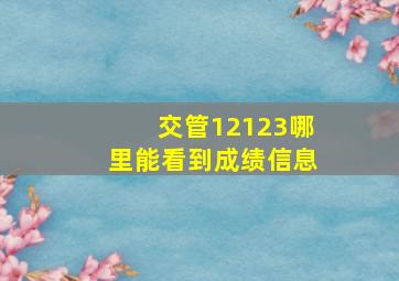 交管12123哪里能看到成绩信息