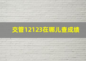 交管12123在哪儿查成绩