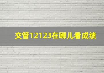 交管12123在哪儿看成绩