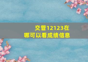 交管12123在哪可以看成绩信息