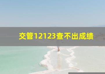 交管12123查不出成绩