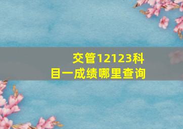 交管12123科目一成绩哪里查询