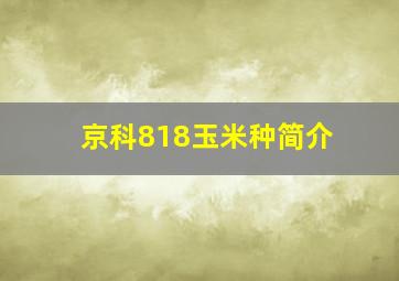 京科818玉米种简介