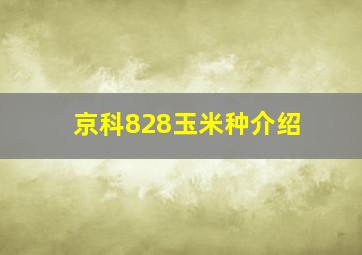 京科828玉米种介绍