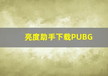 亮度助手下载PUBG