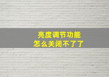 亮度调节功能怎么关闭不了了