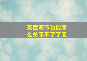 亮度调节功能怎么关闭不了了呢