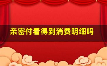 亲密付看得到消费明细吗