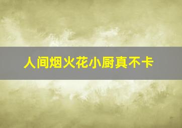 人间烟火花小厨真不卡