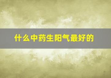 什么中药生阳气最好的