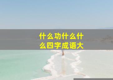 什么功什么什么四字成语大