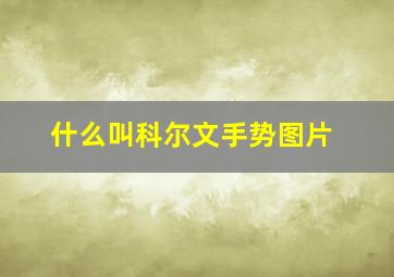 什么叫科尔文手势图片