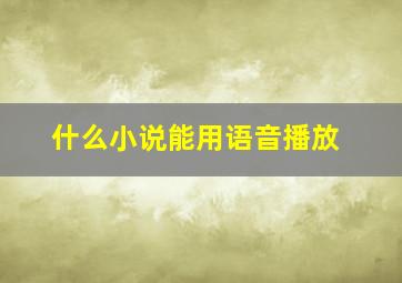 什么小说能用语音播放